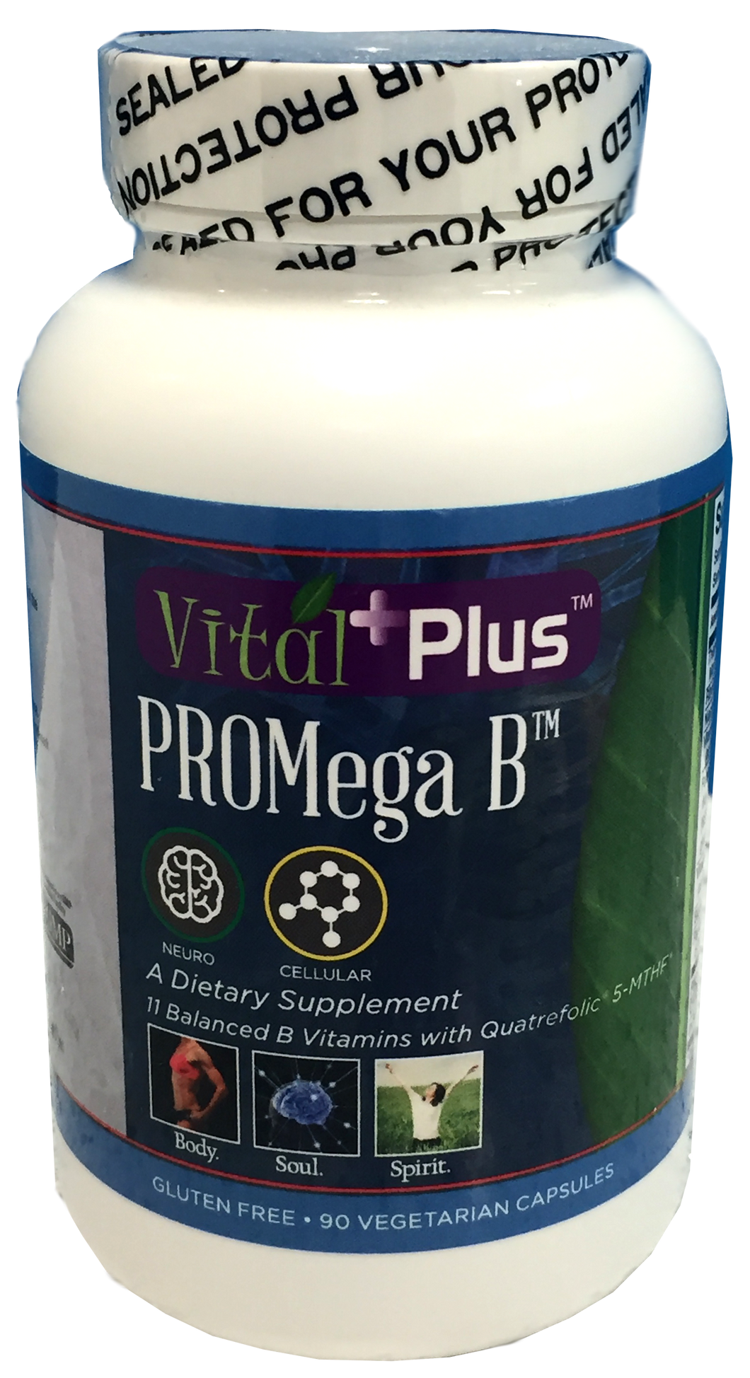 PROMega B - AgeVitalWellness